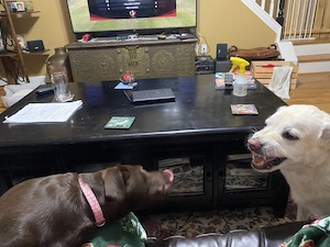 Brady vs Luna after