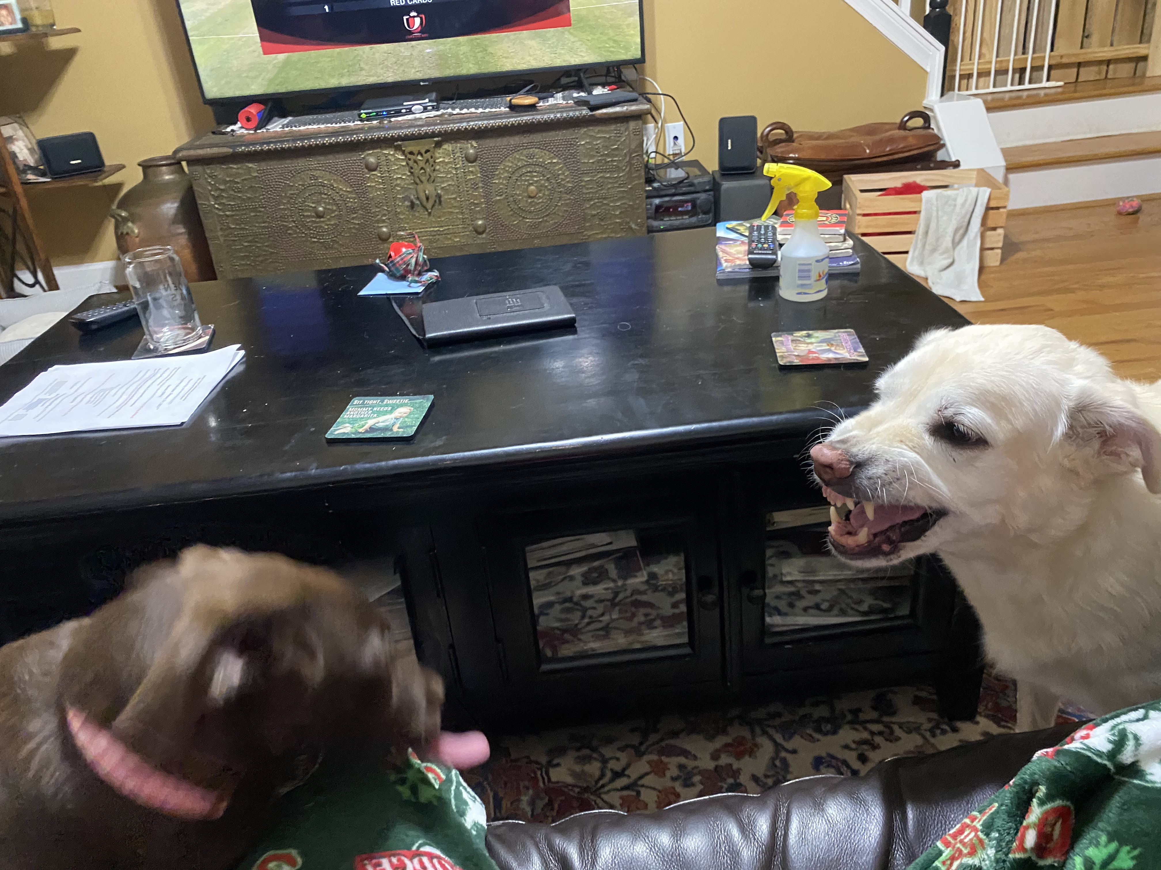 Brady vs Luna before