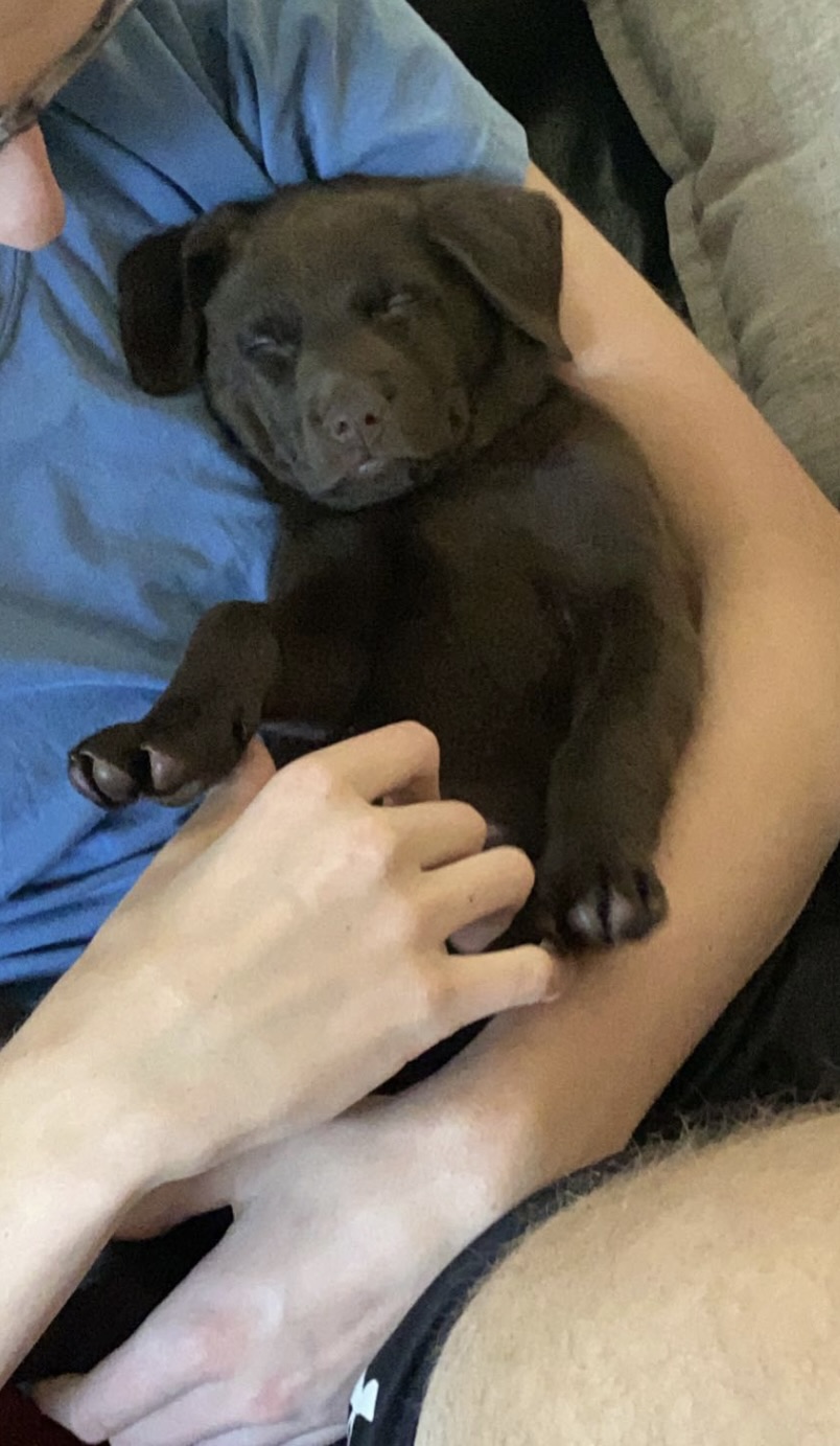 Luna when she was a baby