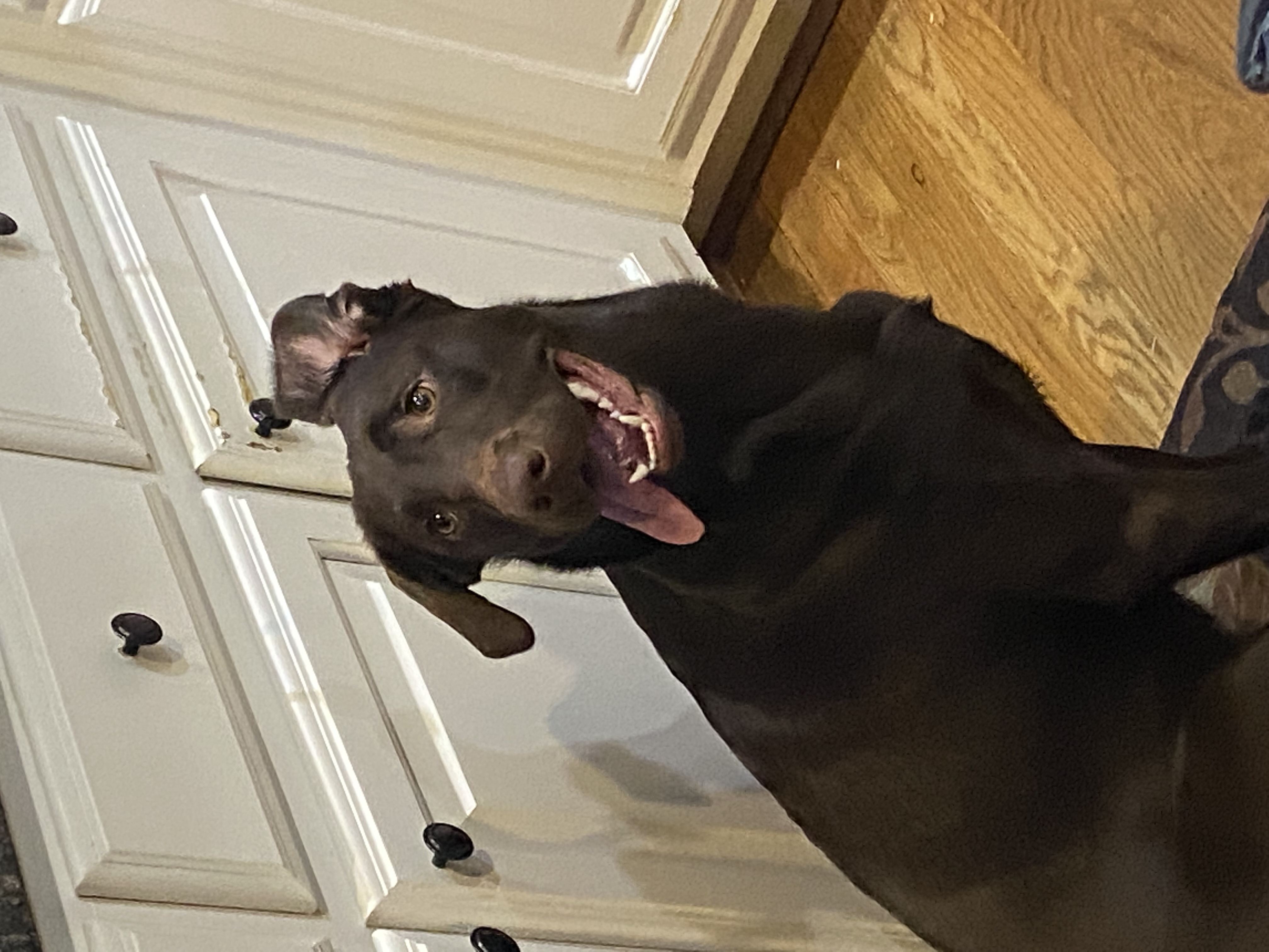 Luna looking crazy
