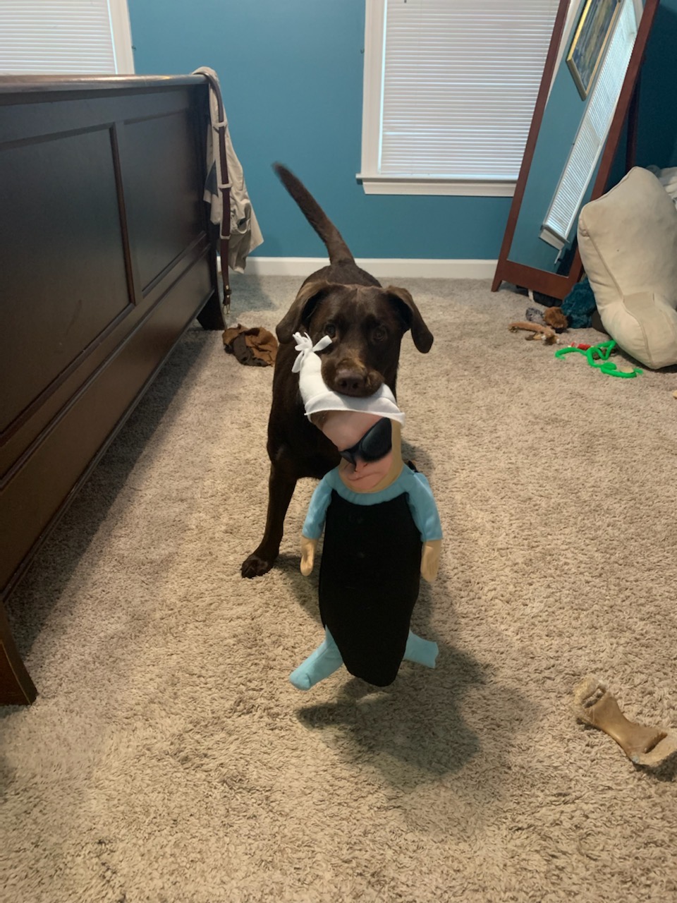 Luna stealing a baby Carlos doll
