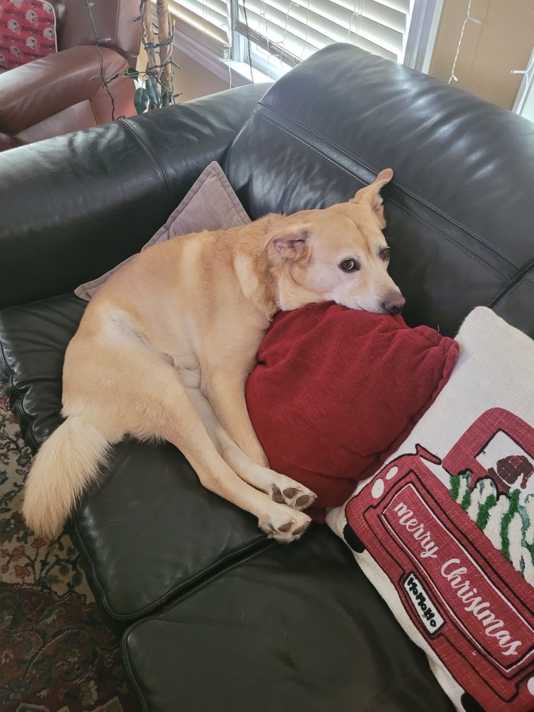Tuck on the couch