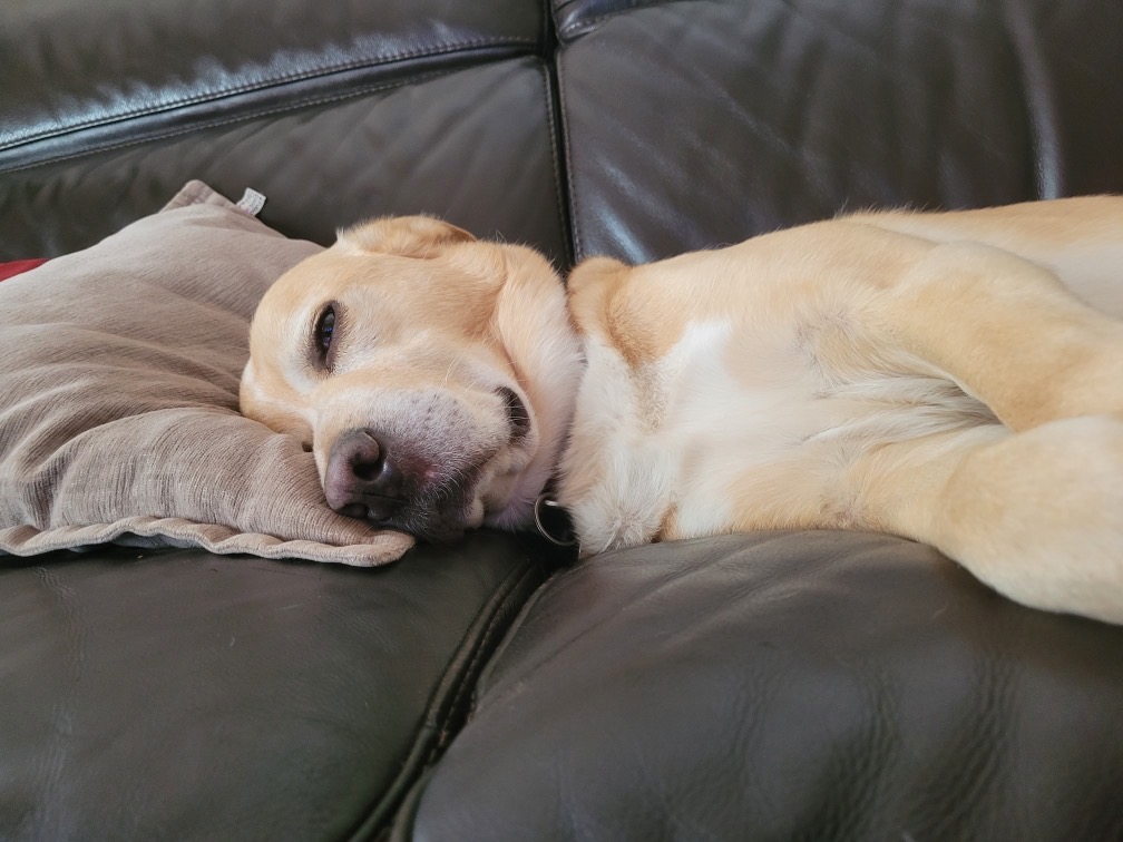 Tuck sleeping again